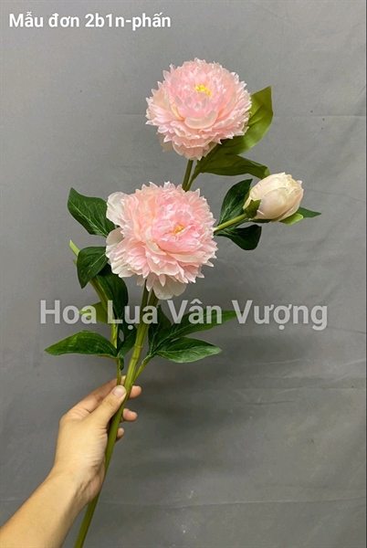 Mẫu đơn 2b1n - phấn - Hoa cành dài - Hoa Lụa Vân Vượng