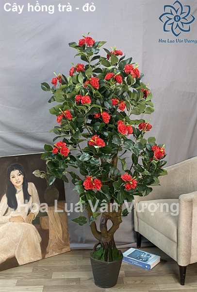 Cây hồng trà - Đỏ - Không chậu - Cây - Hoa Lụa Vân Vượng