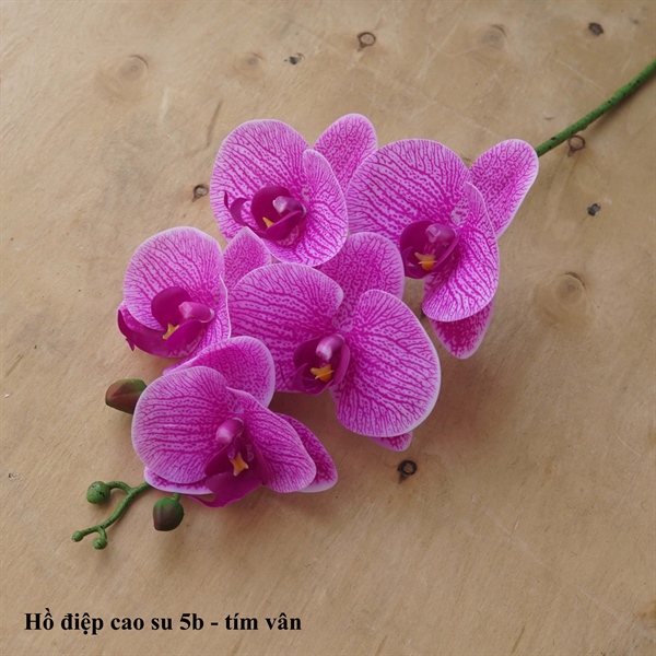 Hồ điệp cao su 5b - tím vân - Hồ điệp, lan - Hoa Lụa Vân Vượng