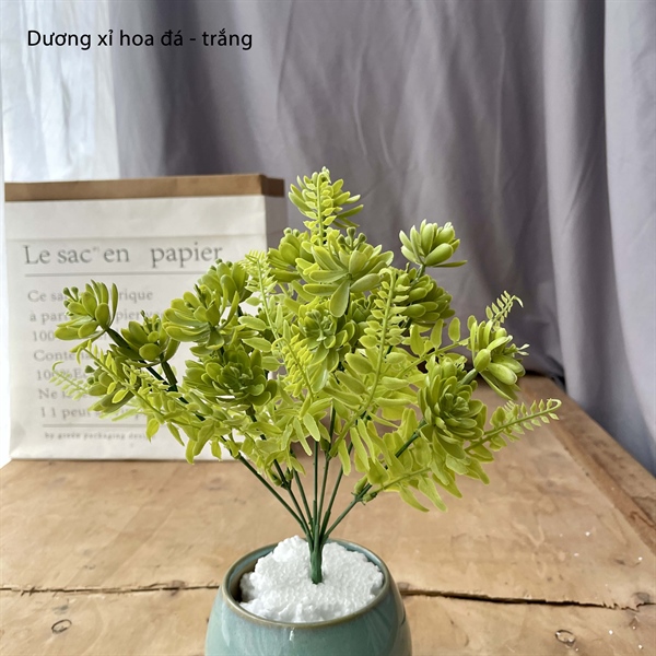 Dương xỉ hoa đá - trắng - Hoa đá - Hoa Lụa Vân Vượng
