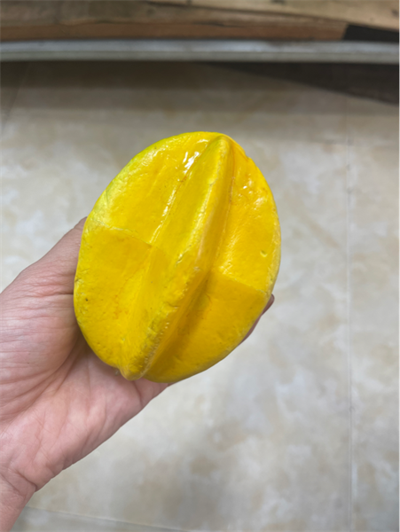 Quả khế nhỡ - Quả và dây quả - Hoa Lụa Vân Vượng