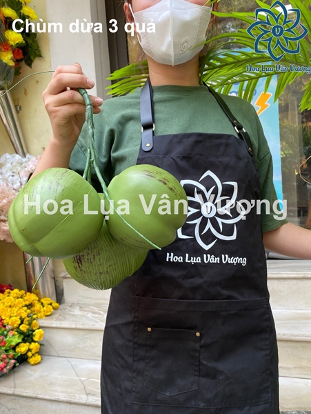 Chùm dừa 3 quả - Quả và dây quả - Hoa Lụa Vân Vượng