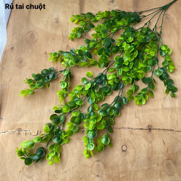 Rủ tai chuột - Rủ - Hoa Lụa Vân Vượng