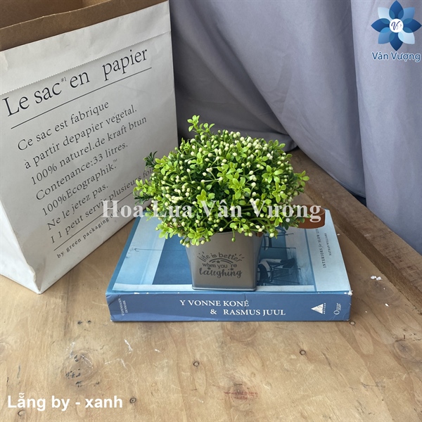 Lẵng By - Xanh - Chậu để bàn - Hoa Lụa Vân Vượng