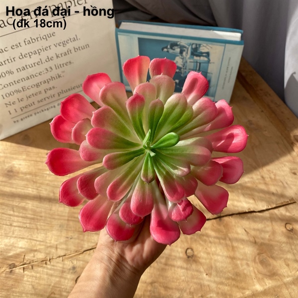 Hoa đá đại - hồng - Hoa đá - Hoa Lụa Vân Vượng