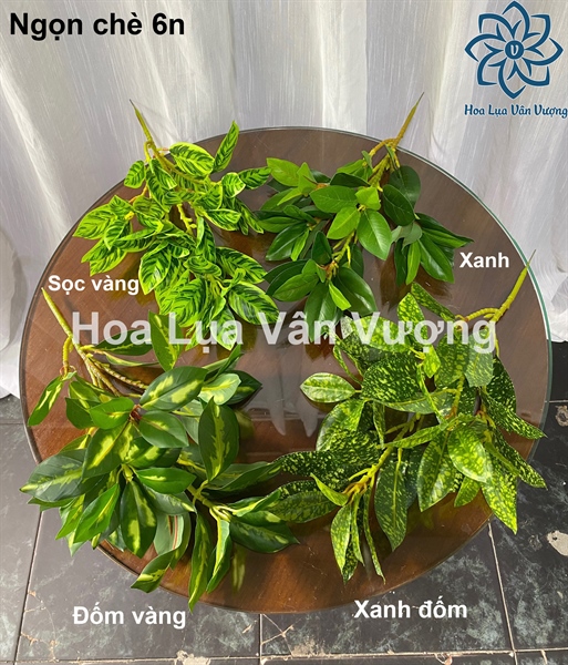 Ngọn chè 6n - Lá cành ngắn - Hoa Lụa Vân Vượng