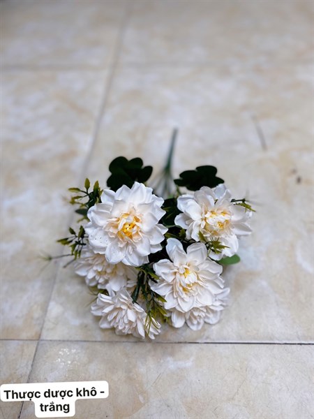 Thược dược khô - trắng - Hoa cành ngắn - Hoa Lụa Vân Vượng