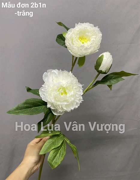 Mẫu đơn 2b1n - trắng - Hoa cành dài - Hoa Lụa Vân Vượng