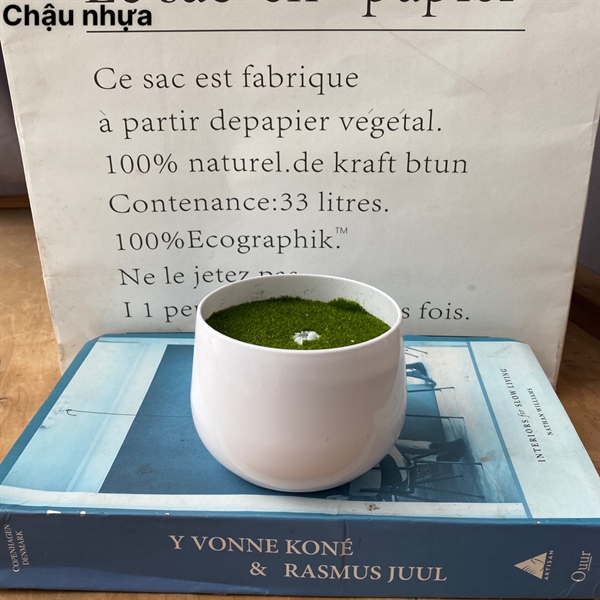 Chậu nhựa nhỏ - Lọ hoa - Hoa Lụa Vân Vượng