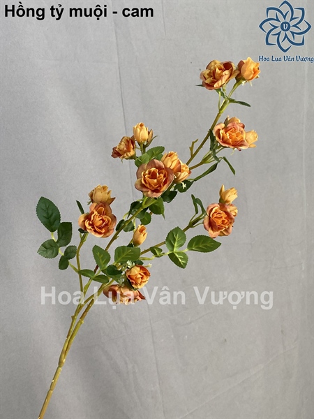 Hồng tỷ muội - cam - Hoa cành dài - Hoa Lụa Vân Vượng