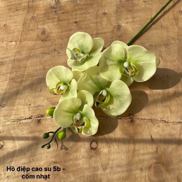 Hồ điệp cao su 5b - Hồ điệp, lan - Hoa Lụa Vân Vượng