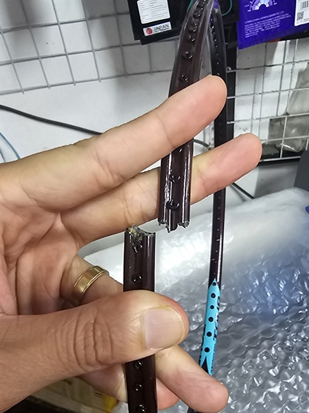 Hàn vợt HÀ NỘI