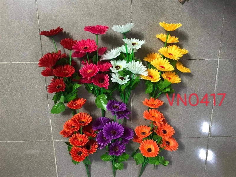 BỤI VN CÚC ĐỒNG TIỀN KT VN0417