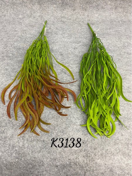 K3138 BỤI RONG BIỂN LÁ HẸ