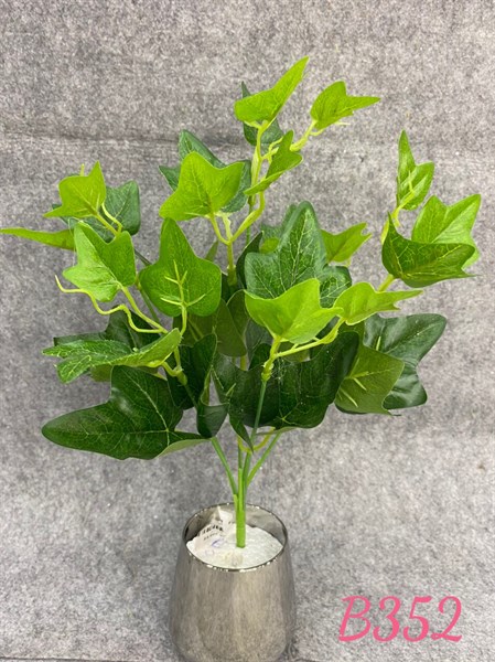 K2224 BỤI LÁ NHO 7N B352