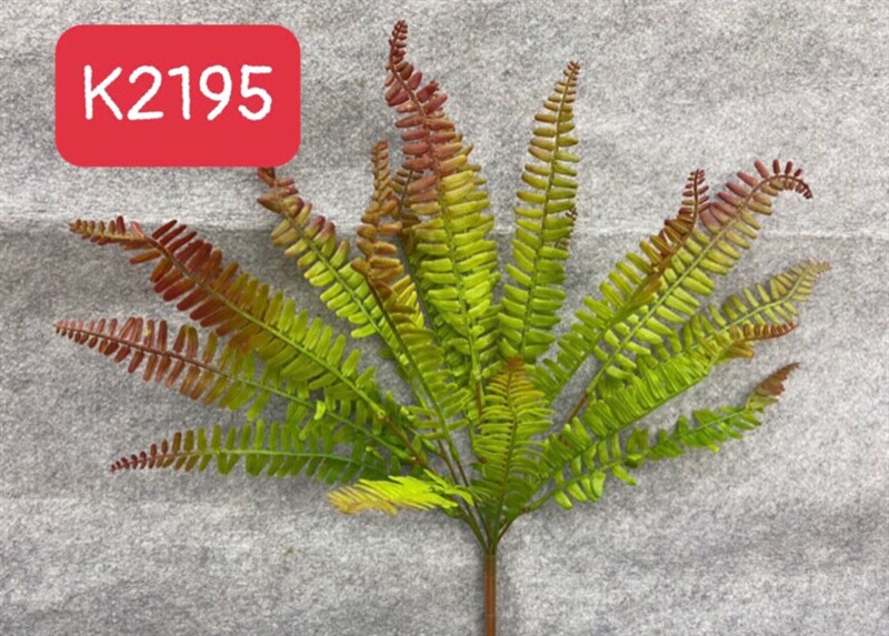 K2195 BỤI LÁ DƯƠNG XỈ MỸ 2 MÀU 7N