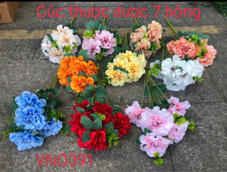 BỤI VN CÚC THƯỢC DƯỢC 7B 3 ĐIỂM VN0391
