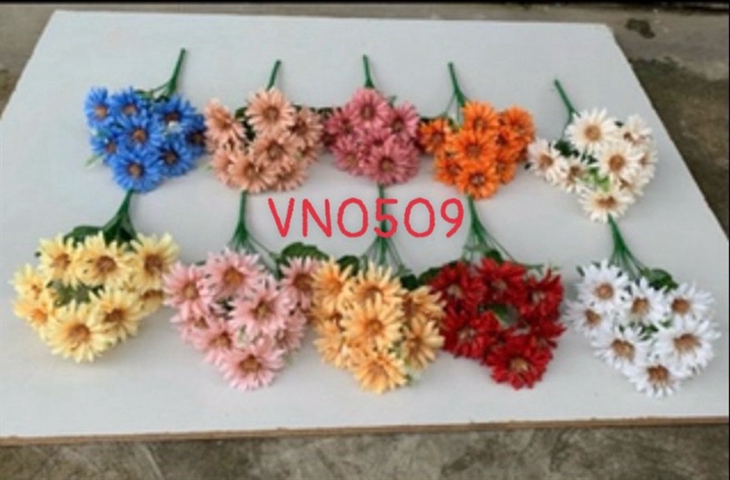 BỤI CÚC NHỤY ĐEN VN0509