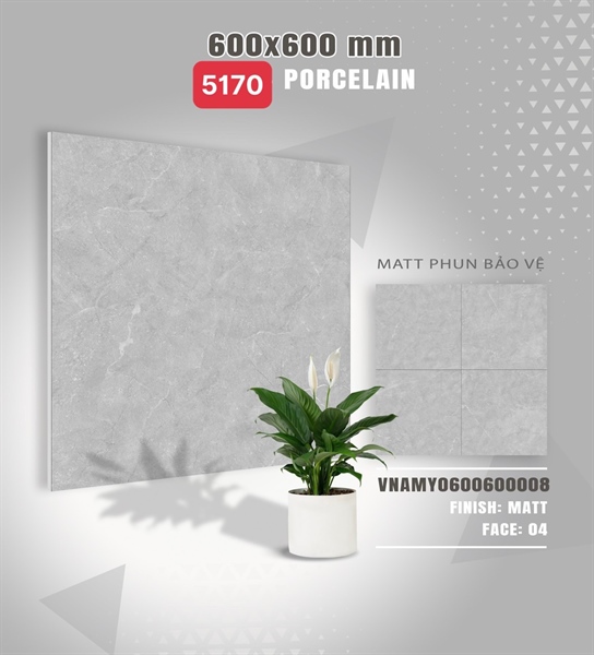 Gạch 60.60 đá nhám 5170(08)