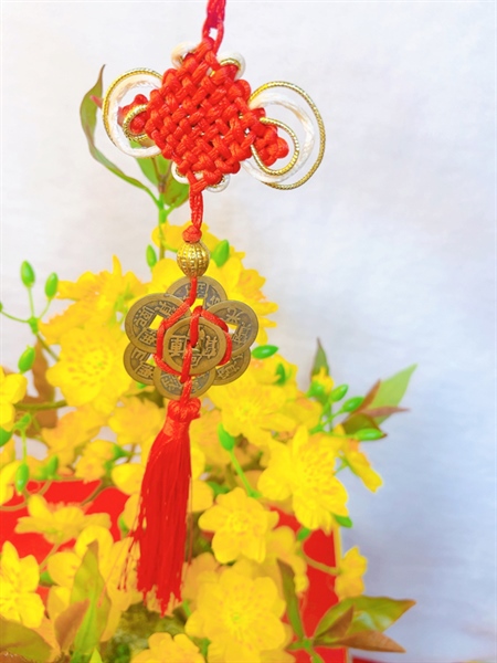 ảnh sản phẩm