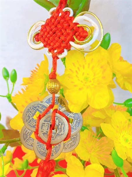 ảnh sản phẩm