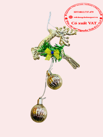 ảnh sản phẩm