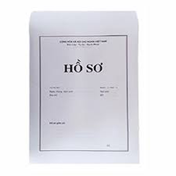 Túi HS giấy trắng lớn 4