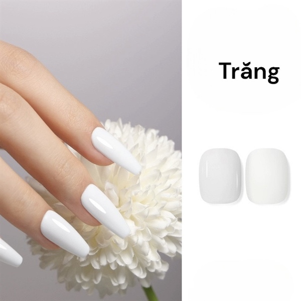 Trắng đàn hồi- TDH