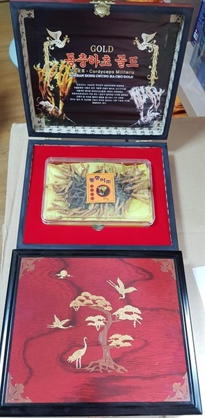 Đông trùng hạ thảo nguyên con 45g HỘP ĐỎ