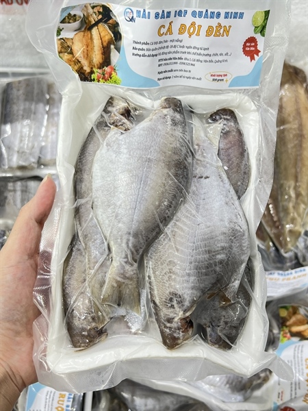 Cá Đội Đèn (Héo)