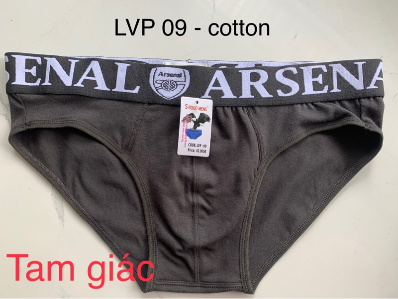 Quần lót nam cotton tam giác LVP09 - M
