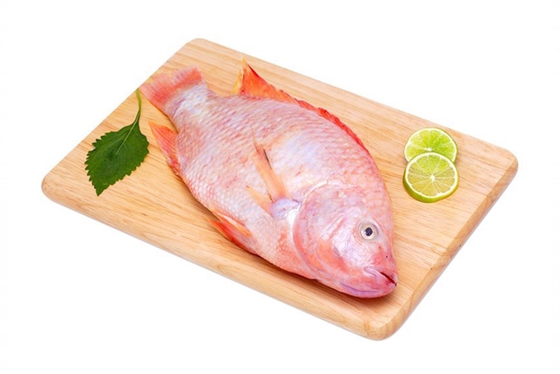 CÁ DIÊU HỒNG (Red Tilapia)