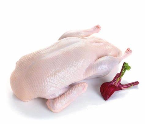 VỊT ĐÔNG LẠNH (1,7 KG) (Frozen Duck)