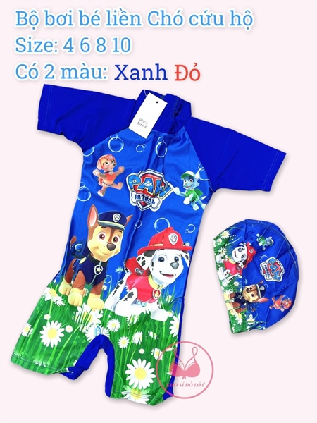 Bộ bơi liền chó cứu hộ