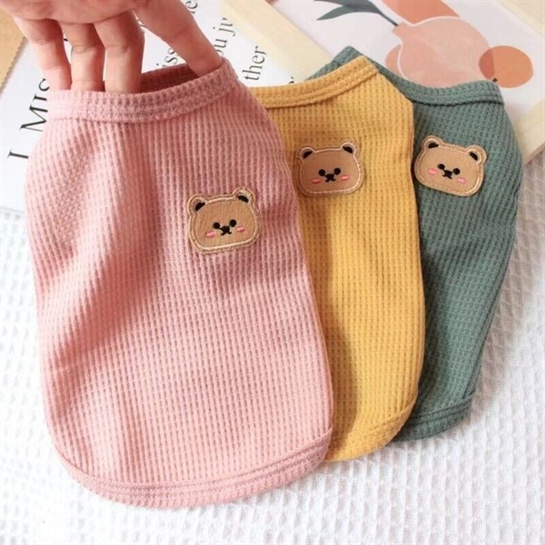 Áo hè mặt gấu