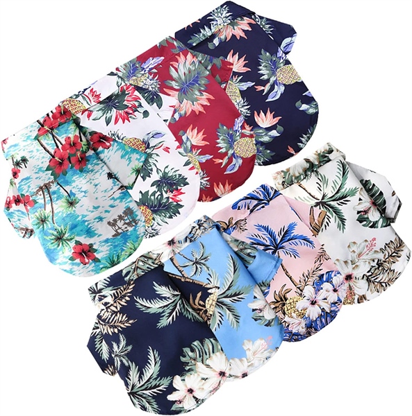 Áo sơ mi đi biển