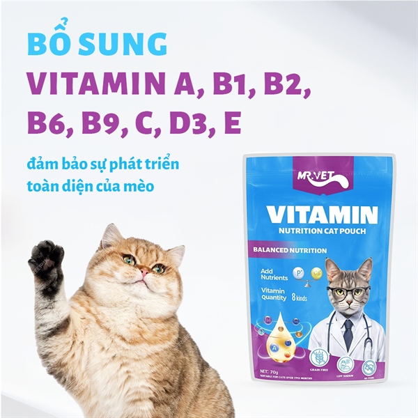 Pate Mr Vet 70g