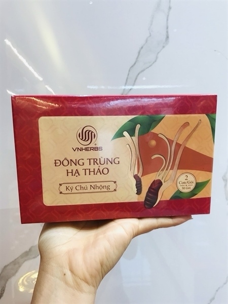 Đông Trùng Hạ Thảo Khô Ký Chủng Nhộng Vn Herbs ( 60Con) (Hộp)
