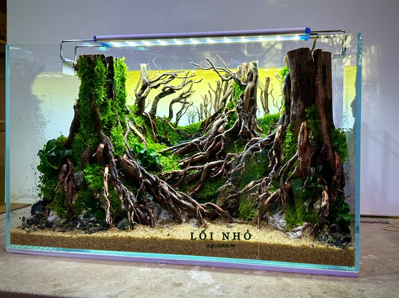 COMBO Rừng (gồm đèn, hồ + thiết kế, lọc, quạt, hẹn giờ)