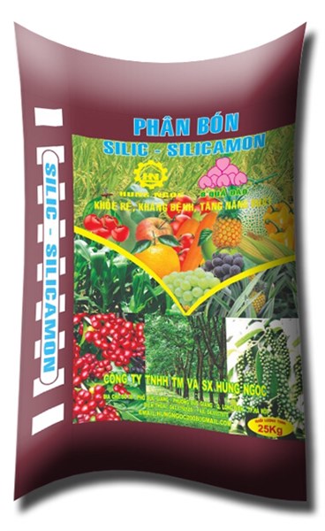 Lân Silic/ Hạ chua