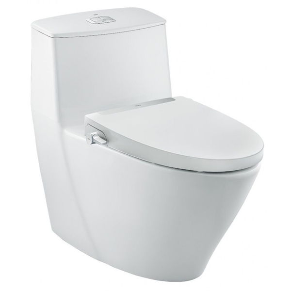 Bồn Cầu INAX & Nắp rửa cơ AC-919R+CW-S32VN/BW1