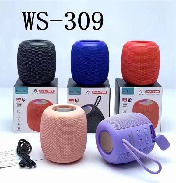 LOA MP3 WS-309