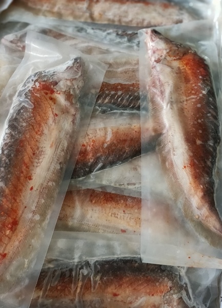 CÁ THÁT LÁT TƯƠI 490GR