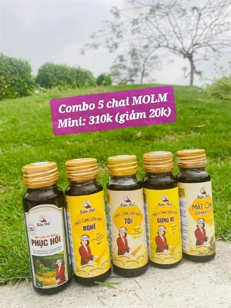 Combo 5 chai MOLM Mini
