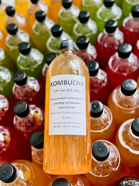 Kombucha đường thốt nốt vị mơ 1 lít