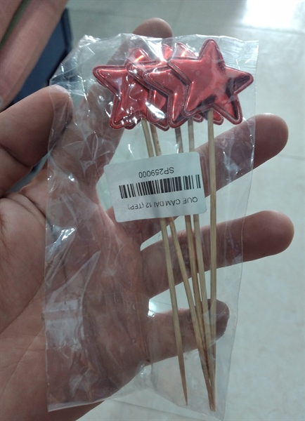 QUE CẮM DÀI 12