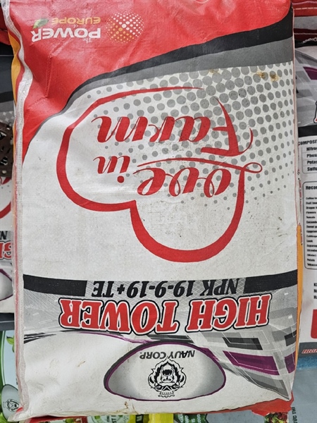 Na uy 19-9-19+te thap cao nauy