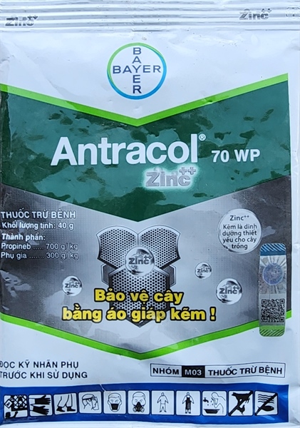 Antracol