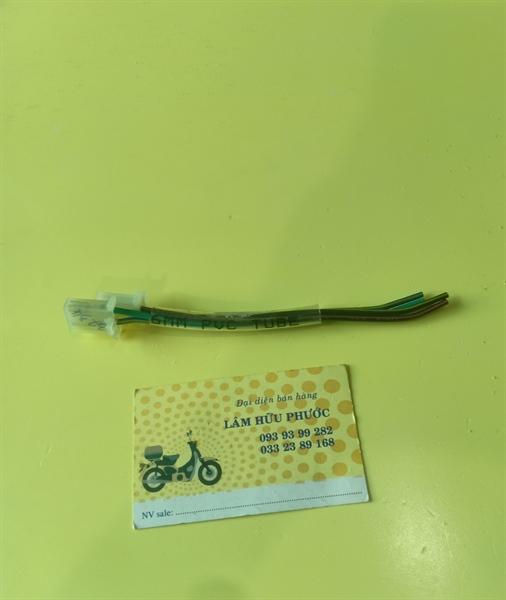 Đuôi IC WS 110 xe Nhật AVP ( 2 đầu 2 chân )