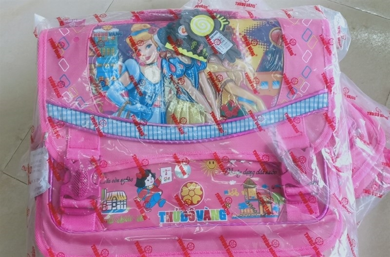 CẶP HỌC SINH THỦ ĐÔ VÀNG CG137 210